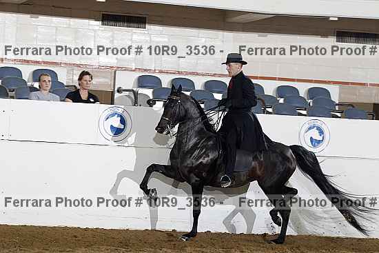 Proof 10r9_3536
