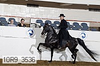 10r9_3536 proof