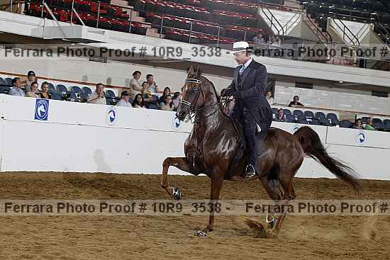 Proof 10r9_3538