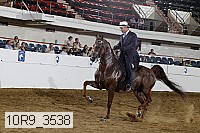 10r9_3538 proof