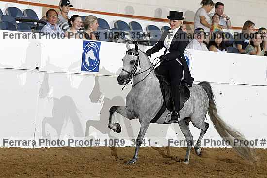Proof 10r9_3541