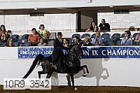 10r9_3542 proof