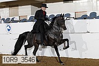 10r9_3546 proof