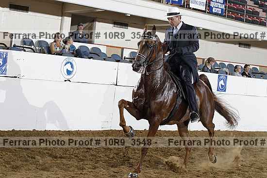 Proof 10r9_3548
