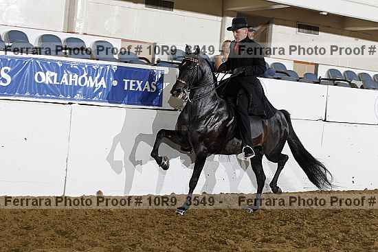 Proof 10r9_3549