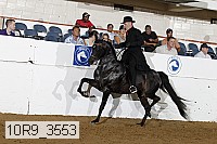 10r9_3553 proof