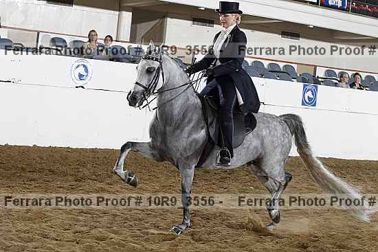 Proof 10r9_3556