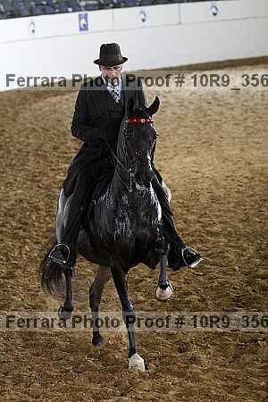 Proof 10r9_3561