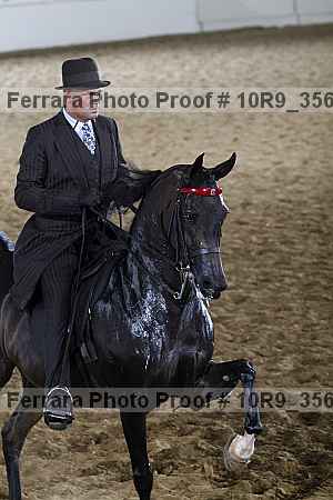 Proof 10r9_3562