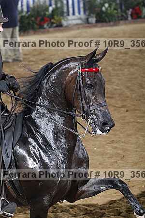 Proof 10r9_3563