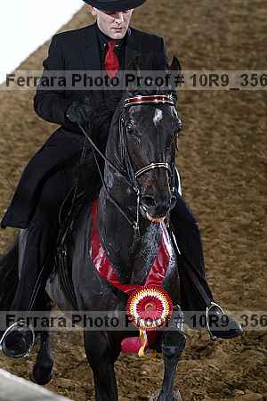 Proof 10r9_3566