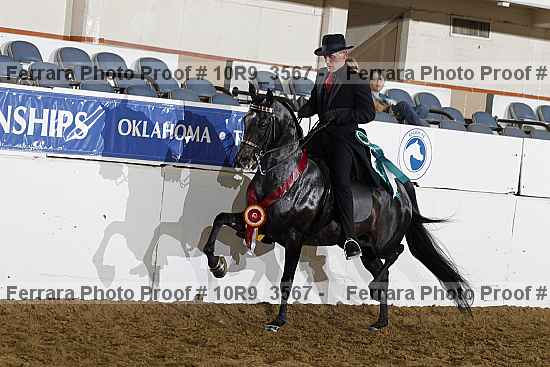 Proof 10r9_3567