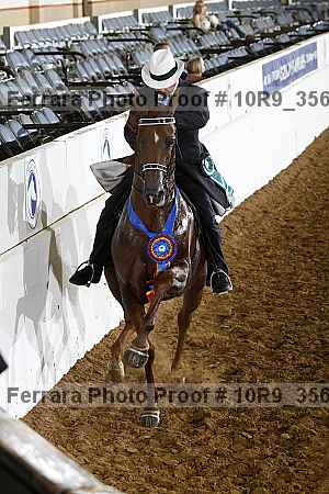 Proof 10r9_3569