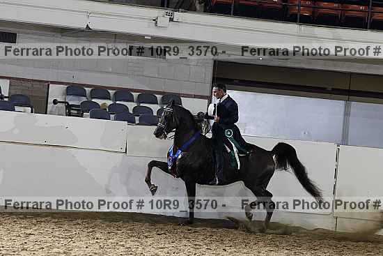 Proof 10r9_3570