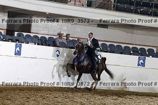 Proof 10r9_3572