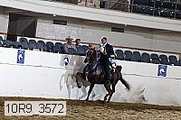 10r9_3572 proof