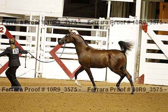 Proof 10r9_3575