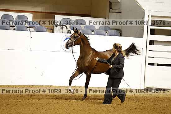 Proof 10r9_3576