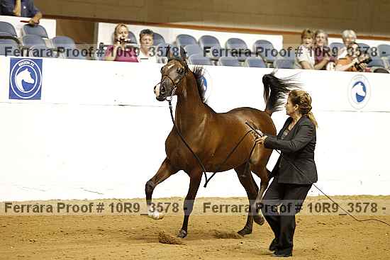 Proof 10r9_3578