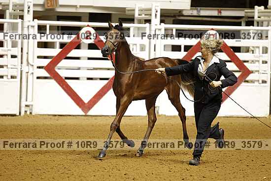 Proof 10r9_3579