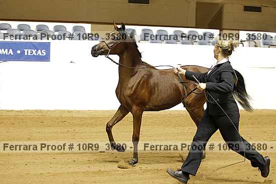 Proof 10r9_3580