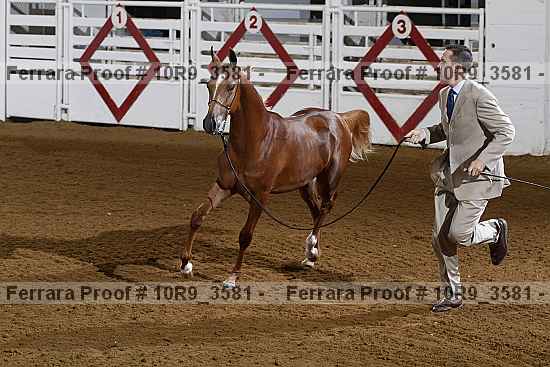Proof 10r9_3581