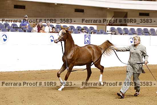 Proof 10r9_3583
