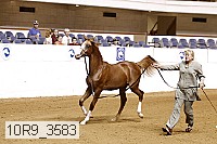 10r9_3583 proof