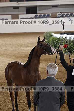 Proof 10r9_3584