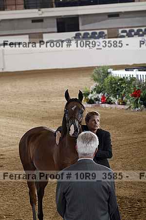 Proof 10r9_3585