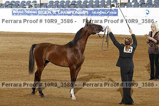 Proof 10r9_3586