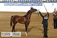 10r9_3586 proof