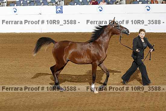 Proof 10r9_3588