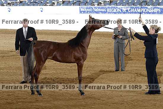Proof 10r9_3589
