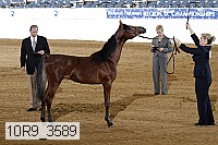 10r9_3589 proof