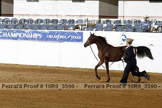Proof 10r9_3590