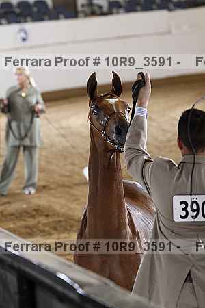 Proof 10r9_3591