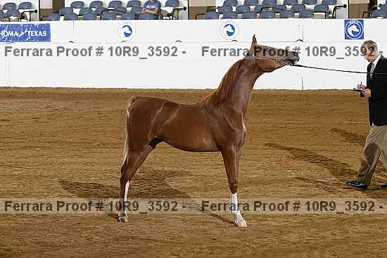 Proof 10r9_3592