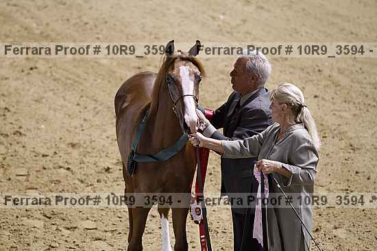 Proof 10r9_3594