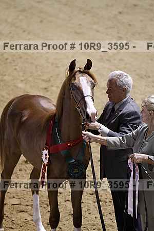 Proof 10r9_3595