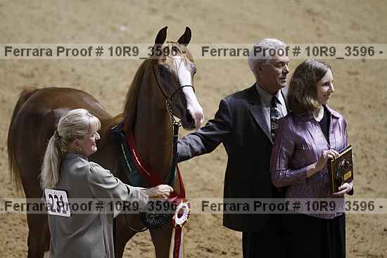 Proof 10r9_3596