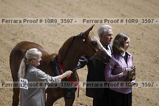Proof 10r9_3597