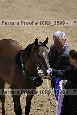 Proof 10r9_3599