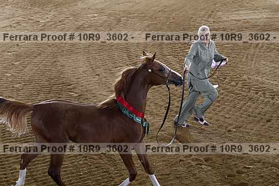 Proof 10r9_3602
