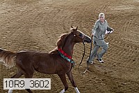 10r9_3602 proof