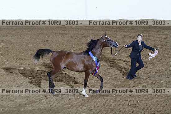 Proof 10r9_3603