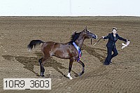 10r9_3603 proof