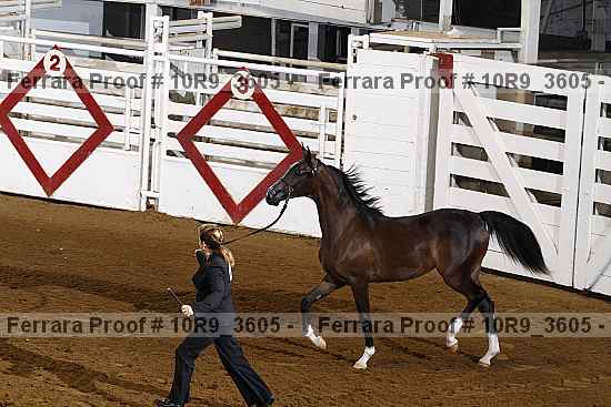 Proof 10r9_3605