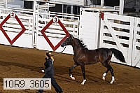 10r9_3605 proof