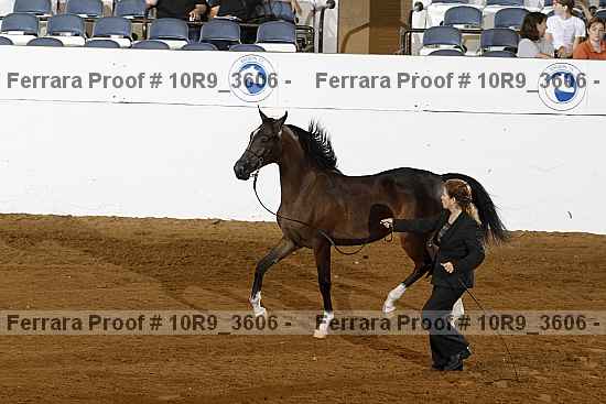 Proof 10r9_3606